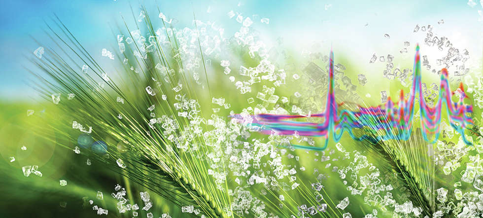 Borisjuk_Header_980x442