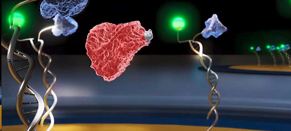 Dynamic nanolevers
