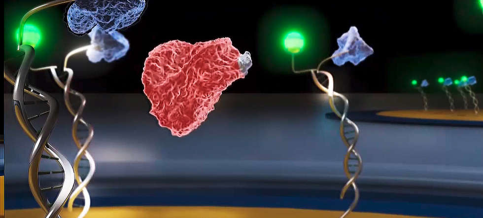 Dynamische Nanohebel