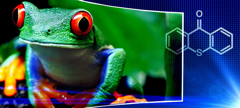 Gilch_Header_qm_Q219_980x442