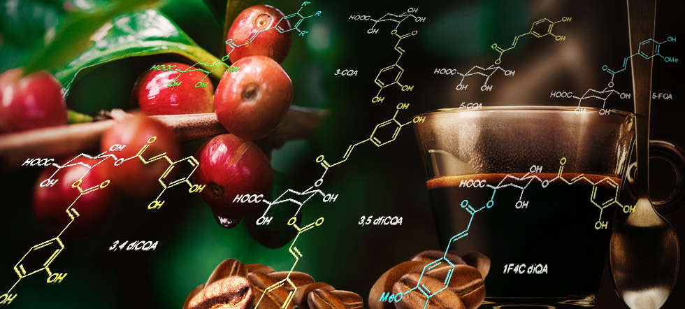 Kuhnert_Header_qm_Q320_980x442