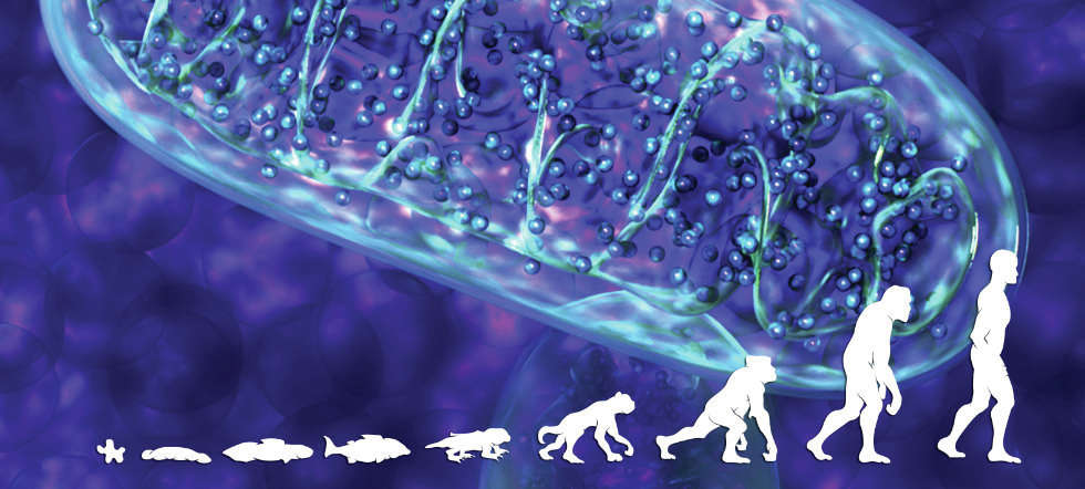 RNA